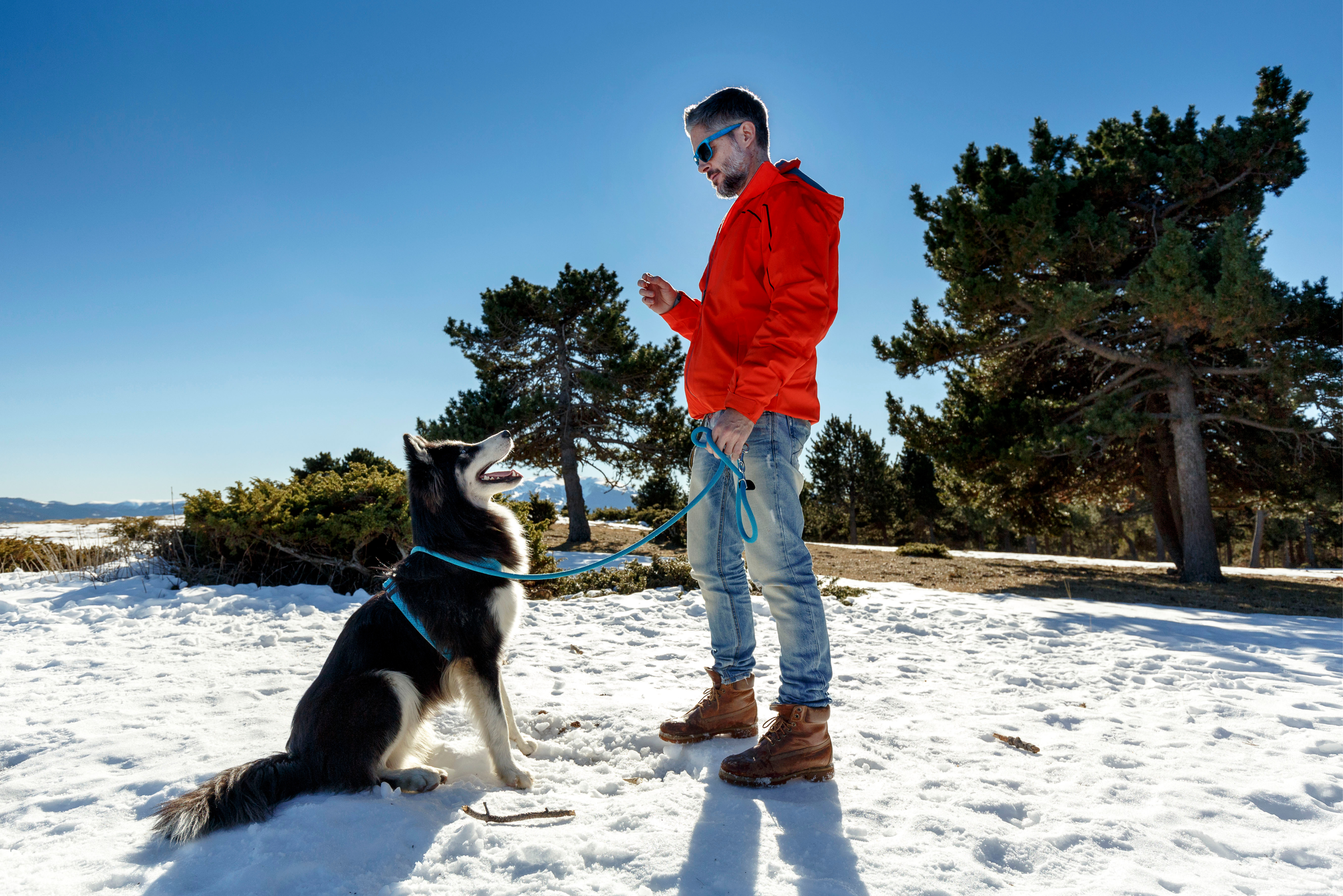 How to raise a puppy in social situations? Find out!