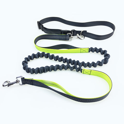 Road Runner Dog Leash
