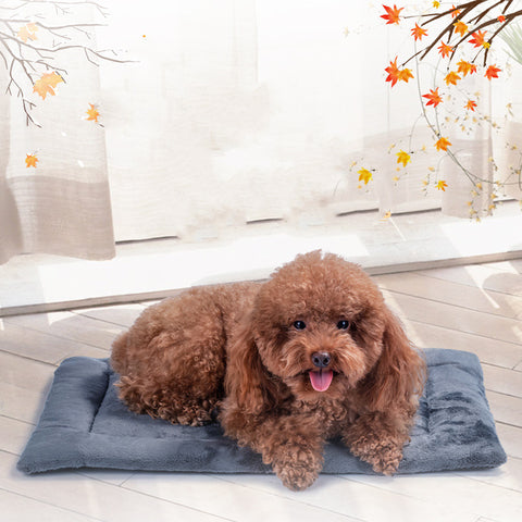 Bite-resistant thickened anti-urinary dog cage pad