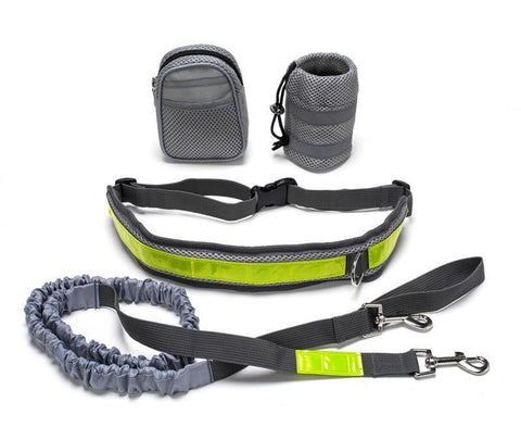NOX Hands Free Leash