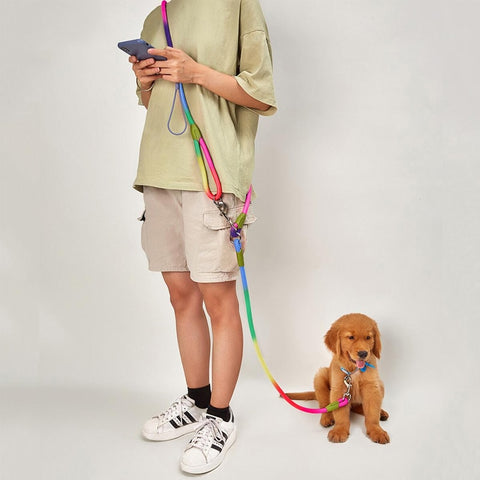 Hands-free Leash Reflective