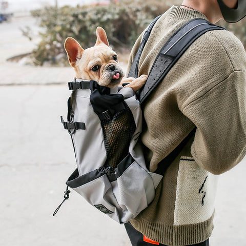DBC Backpack Carrier