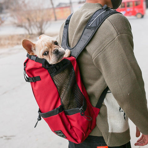 DBC Backpack Carrier