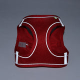 Harness Leash Set
