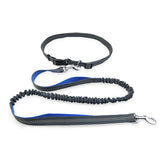Road Runner Dog Leash