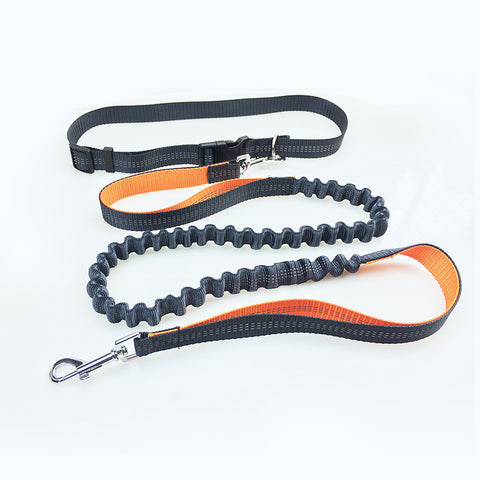 Road Runner Dog Leash