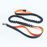 Road Runner Dog Leash