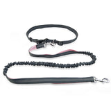 Road Runner Dog Leash