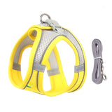 Harness Leash Set