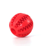 Interactive Chew Ball