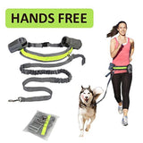 NOX Hands Free Leash