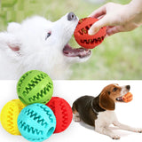 Interactive Chew Ball