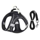 Harness Leash Set
