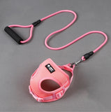 Dog harness collar