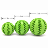 Interactive Chew Ball