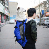 DBC Backpack Carrier