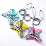 Harness Leash Set