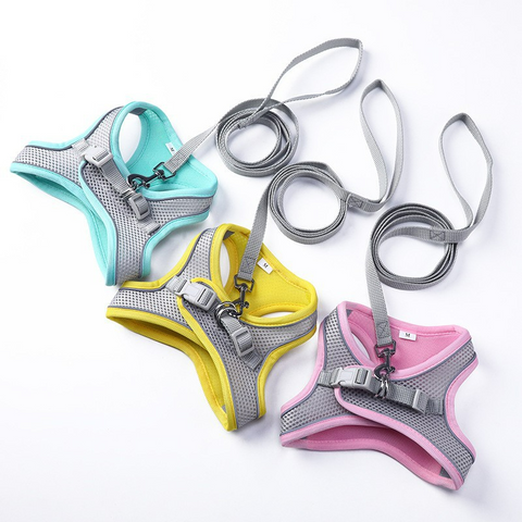 Harness Leash Set