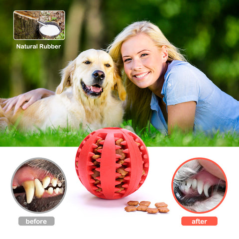 Interactive Chew Ball
