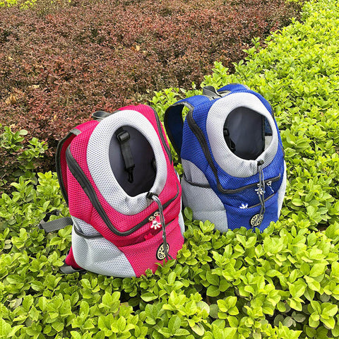 BWP BackPet Walk