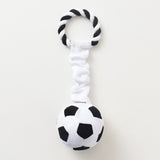 Soft Ball Voice Molar Toy