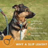 LSL Slip Lead Leash