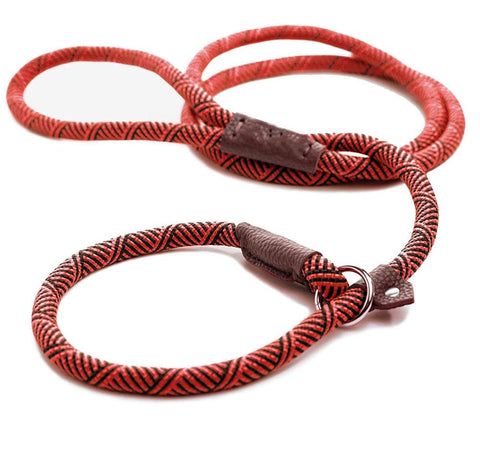LSL Slip Lead Leash