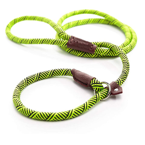 LSL Slip Lead Leash