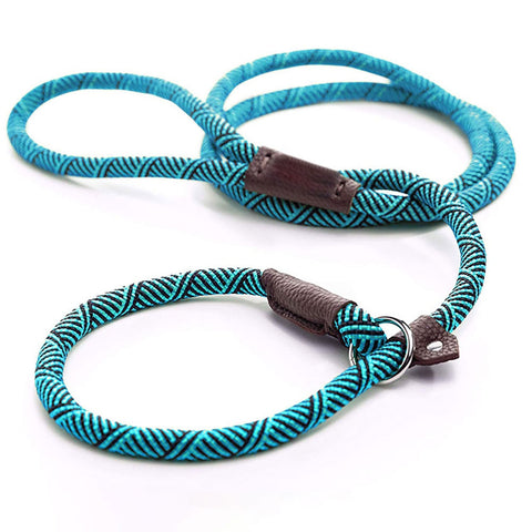 LSL Slip Lead Leash
