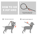 LSL Slip Lead Leash