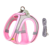 Harness Leash Set