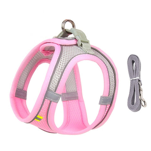 Harness Leash Set