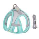 Harness Leash Set