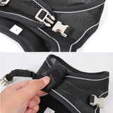 Harness Leash Set