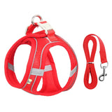 Harness Leash Set