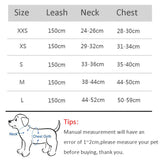 Harness Leash Set